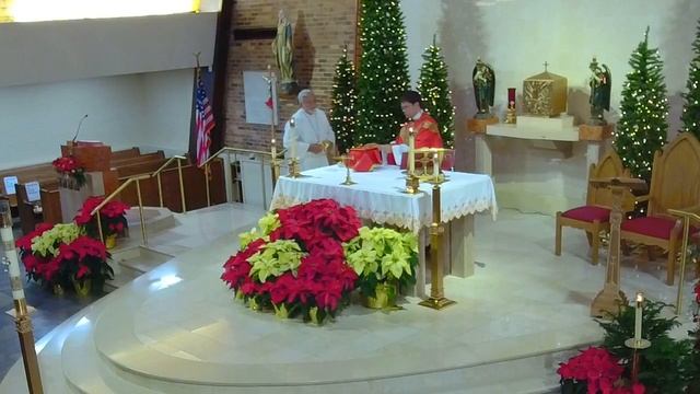 Daily Mass - Tuesday, December 28, 2021 смотреть онлайн