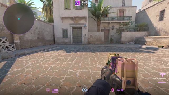 NEW SKIN IN CS2!!! MAC-10 - Blooming Azalea смотреть онлайн