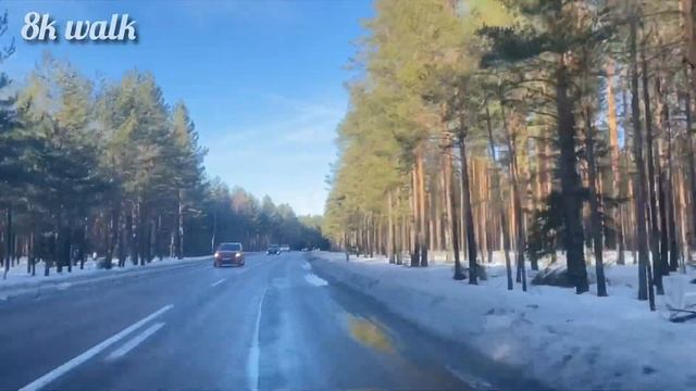 Swedish Border / Driving From Norway To Sweden How to Stay Safe While Driving in Norway nd Sweden смотреть онлайн