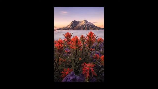 Get The Best IPhone/IOS Wallpapers 2017!