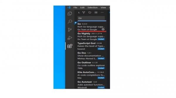 Golang VS Code Setup