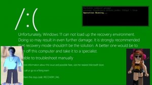 Windows 11 Kill Screen but Me and Angry German Kid Want to See That