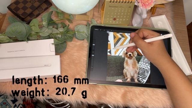 Apple Pencil 2 | Tech Specs смотреть онлайн