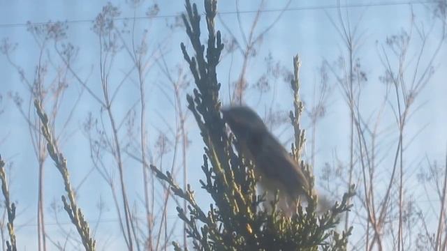 dirty windows смотреть онлайн