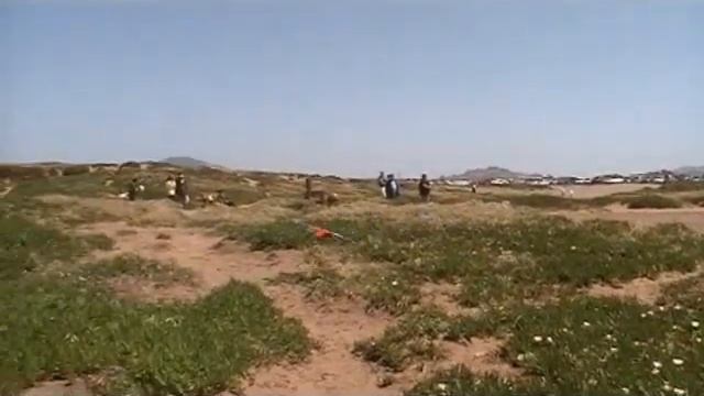 macaws at Fort Funston 7.wmv смотреть онлайн