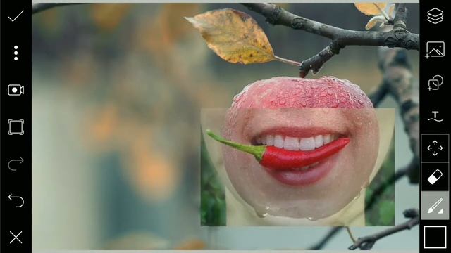 APPLE & BEAUTIFUL LIP Edit by PICSART смотреть онлайн