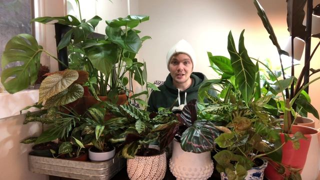 Winter Plant Care смотреть онлайн