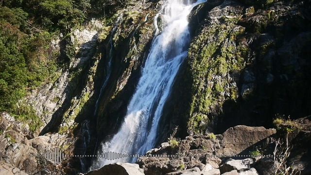 Raising Your Vibration - Lynne Hartwell | FREE Meditation From Cloud9 Online | Monday Mindset 006