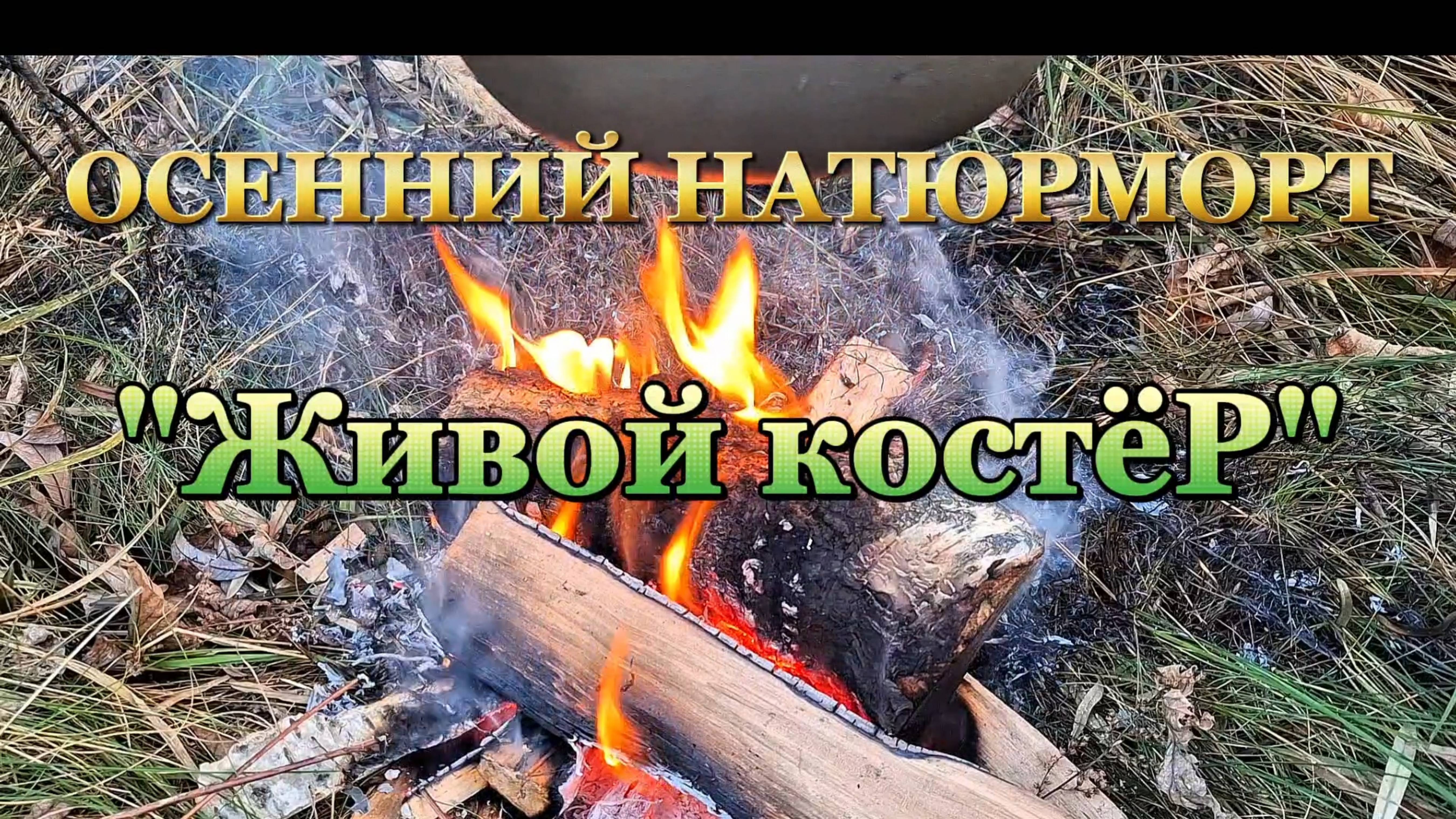 Костёр! УХА! РЫБАЛКА! НАТЮРМОРТ ! #сезонконтентаRUTUBE смотреть онлайн