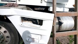 Фредлайнер Аргоси