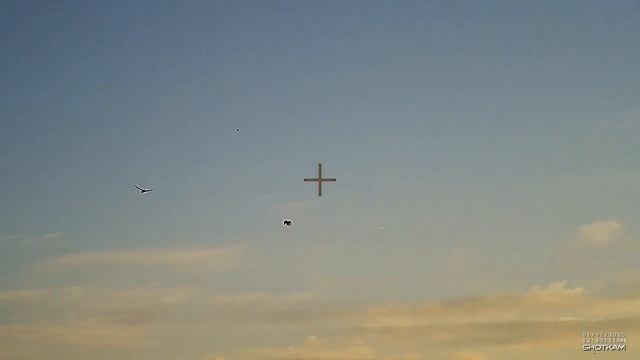 Public Land Duck Hunting.. Most Frustrating Thing Happened Twice смотреть онлайн