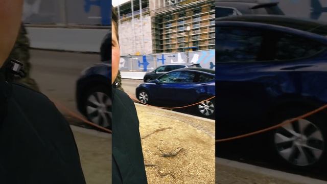 Tesla “Новые технологии” зарядка из природы смотреть онлайн
