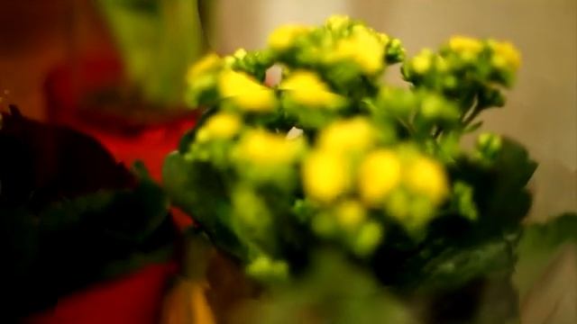 Новости "9 этаж" - 13 апреля 2021 смотреть онлайн