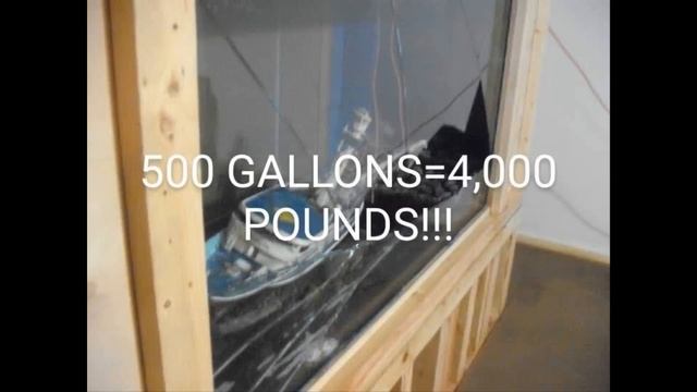 CUSTOM BUILT * AQUARIUM * 500 GALLONS * CUSTOM BUILT VIEWING AREA * 250 GALLONS * смотреть онлайн