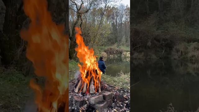 Вот такая тут рыба водится!!!