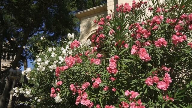 4ч ОТ БОСПОРА ДО КАСПИЯ АВТОТУРИЗМ смотреть онлайн