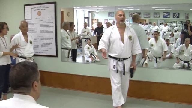 SRKDI Okinawan Karate Weekend - Day 3 смотреть онлайн