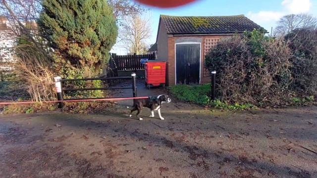 Team Mac & Lois, Derby K9 & Unleash Dog Training, Mantrailing смотреть онлайн