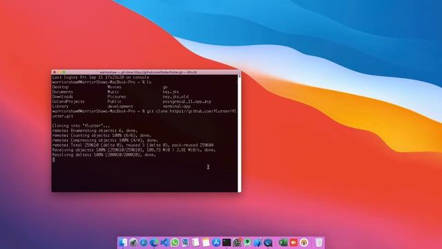 Installation of Flutter in macOS || Flutter for beginner смотреть онлайн