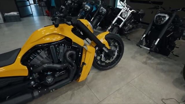 😈 Harley-Davidson V-Rod Lamborghini Urus ‘Giotto 30’ By Box39