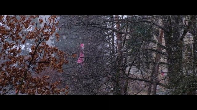 Snowfall | View from my Window | Winter смотреть онлайн