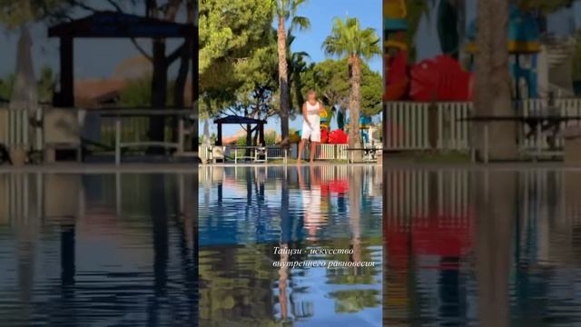 Тайцзи, стиль Чень, фрагмент формы. смотреть онлайн