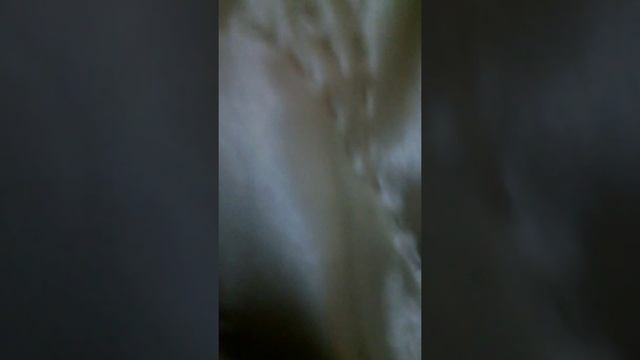Выбираем имя для малышки смотреть онлайн