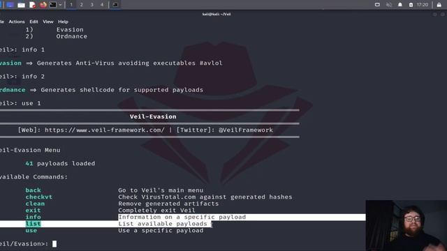 Veil - Como hackers criam payloads usando Veil-Framework смотреть онлайн