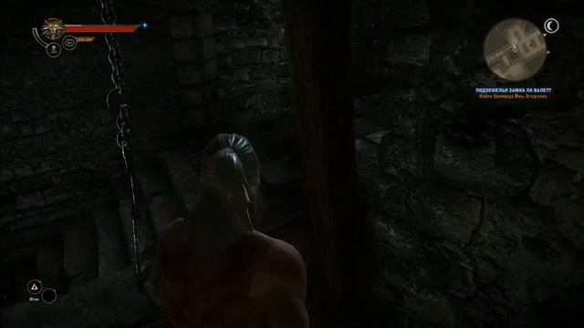 The Witcher 2 assassin mod on смотреть онлайн