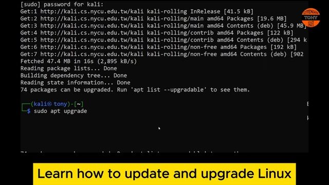 How to update and upgrade Linux смотреть онлайн