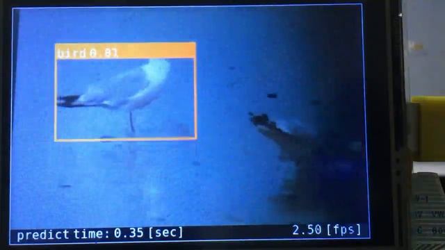 Object Detection with Raspberry Pi 4 using ONNX Runtime without GPU acceleration смотреть онлайн