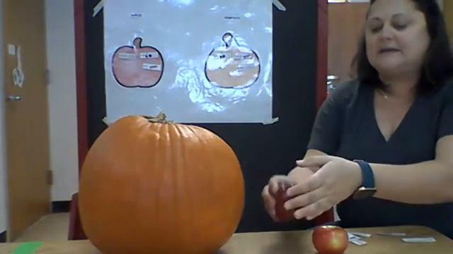 Apple VS Pumpkin смотреть онлайн