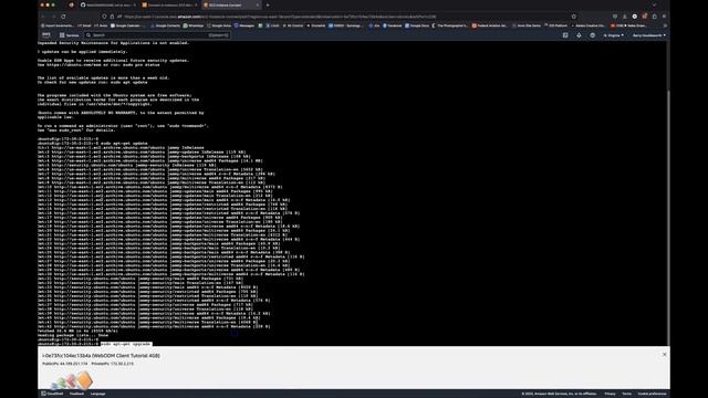 Sharing Maps and 3D Models using WebODM смотреть онлайн