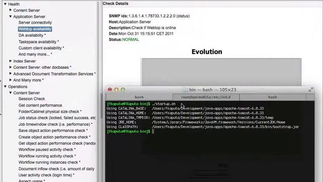 DiQe monitoring solutions for Business Applications - Demo Documentum смотреть онлайн