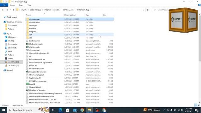 Contact not found|WaSender 3.3.0 Chrome Driver Error|Your chrome driver & chrome version is not sam смотреть онлайн