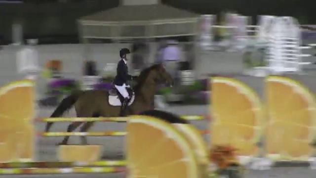 Video of Finnley 5 ridden by Monica Hanks from ShowNet! смотреть онлайн