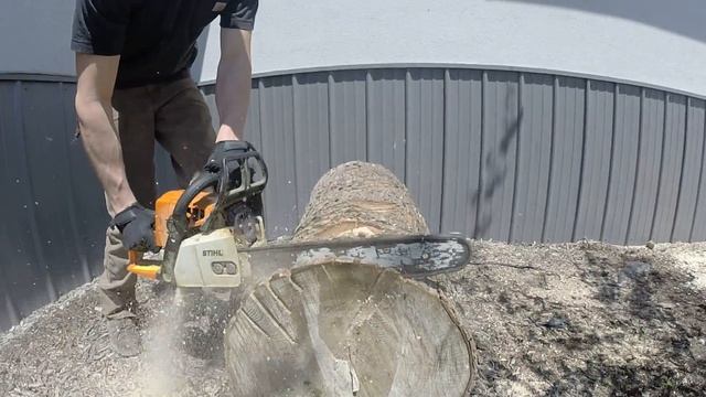 MS250 cutting смотреть онлайн