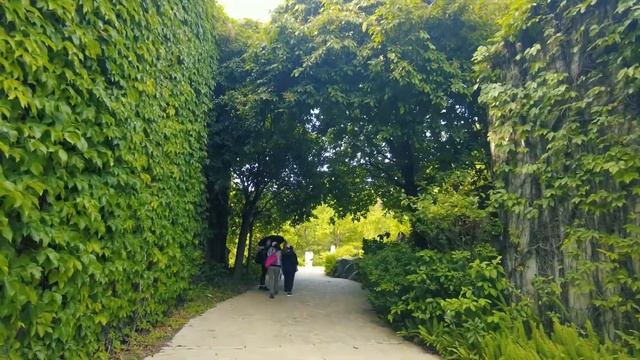 2021.04｜WETLAND PARK｜HONG KONG｜DJI POCKET 2｜濕地公園｜香港 смотреть онлайн