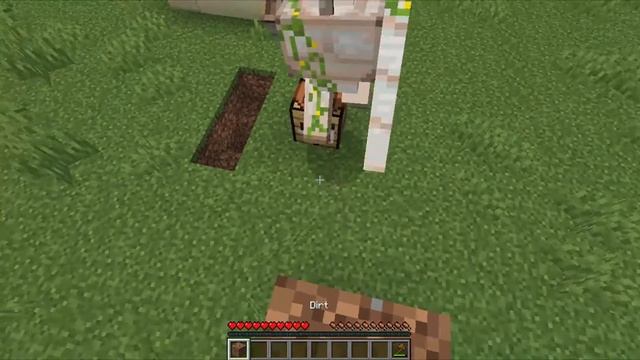 3:22 - Enchanted Golden Apple Speedrun (SSG) - WORLD RECORD! смотреть онлайн