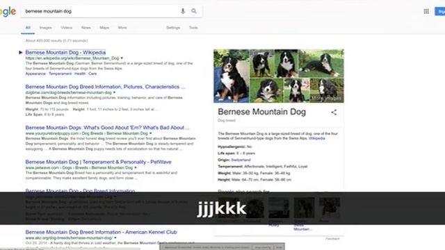 Web Search Navigator demo смотреть онлайн