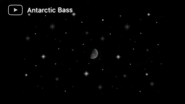 Insane Midnight Party by Antarctic Bass (Only Apple Loops) смотреть онлайн