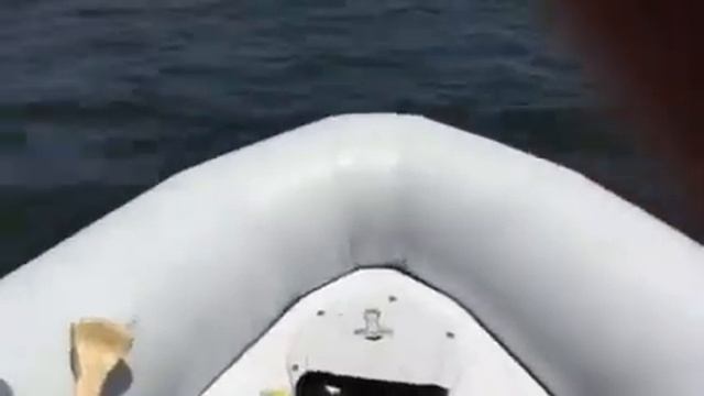 Avon jet boat first ride in jacksonville смотреть онлайн