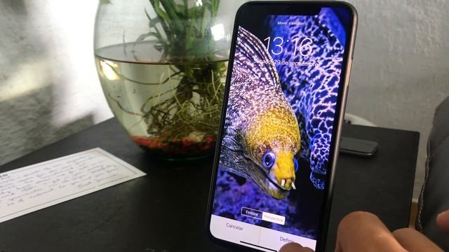 Apps de WALLPAPERS HD para iPhone XS Max смотреть онлайн