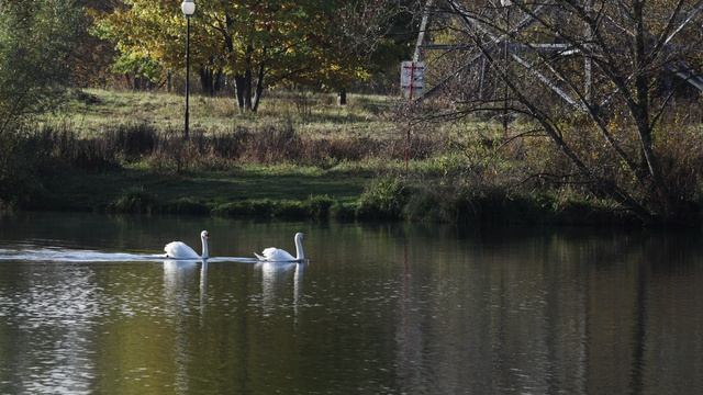 Тест видеосъёмки Canon EOS R5 Mark II смотреть онлайн