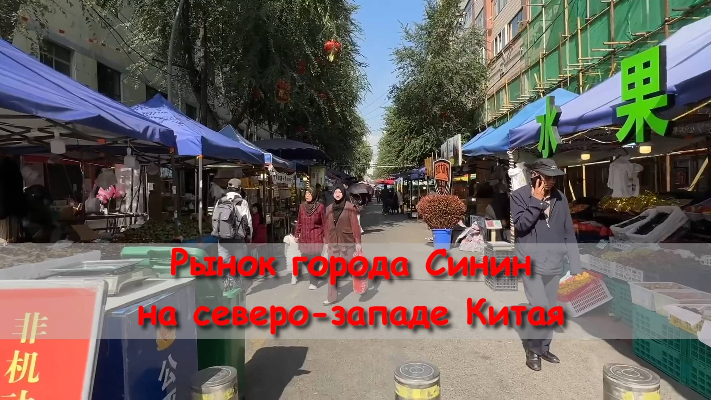 рынок города Синин, на северо-западе Китая смотреть онлайн