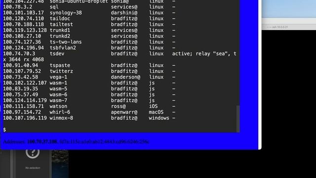 Tailscale in WASM demo смотреть онлайн