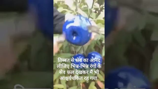 Many Coulers Of Apple||sweet Apples||😋😋😋😍😍😛😛😛😜😜😜😝😝😝🤤🤤