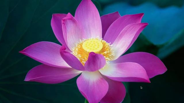 How to record on a mac using Quicktime Player смотреть онлайн