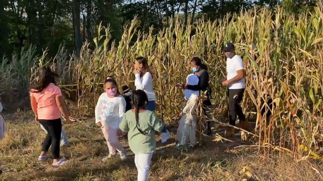 Synthea & Sophea apple picking Fall Season 2020 @ Stowe Farm MA. смотреть онлайн