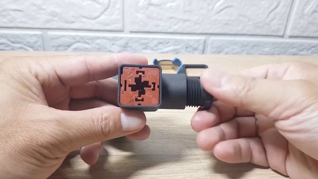 Level Switch For Liquids - Liquiphant FTL31 Endress+Hauser | Cảm Biến đo Mực Chất Lỏng, Dòng Chảy.